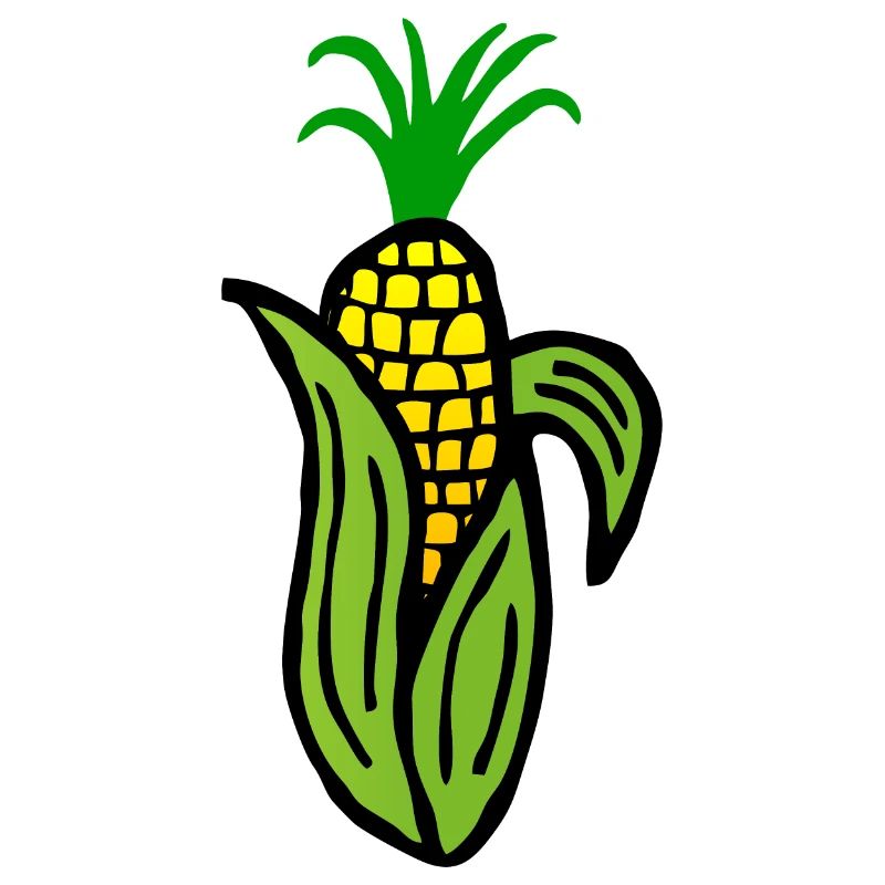 Vegetable corn cob corncob