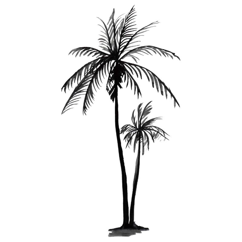 Palm trees