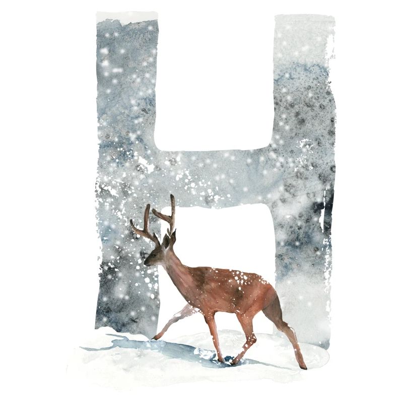 H – decorative character – winter