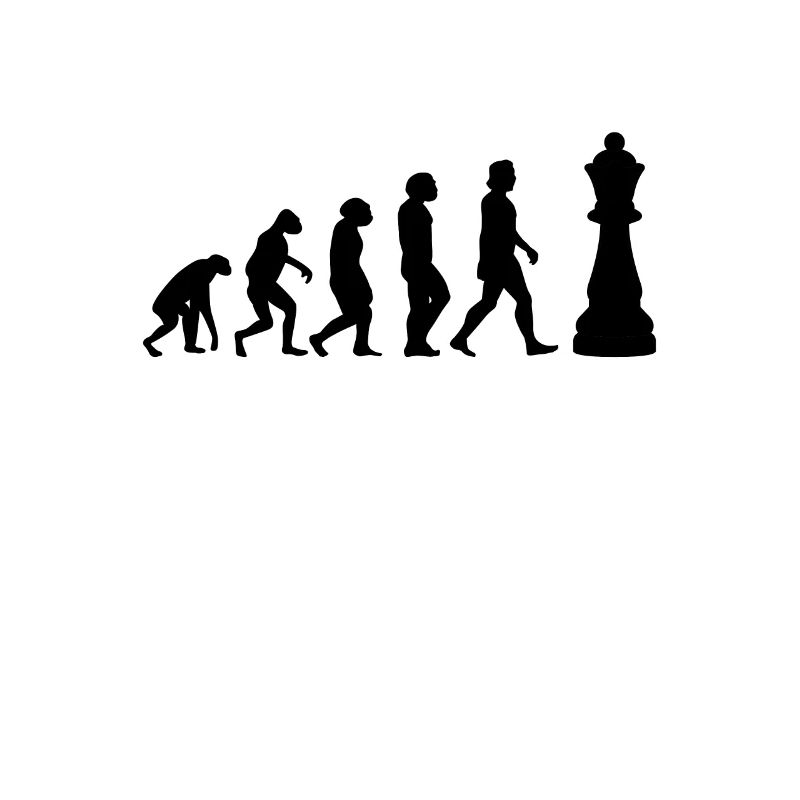ÉCHECS JEU D’ÉCHECS Chess Evolution