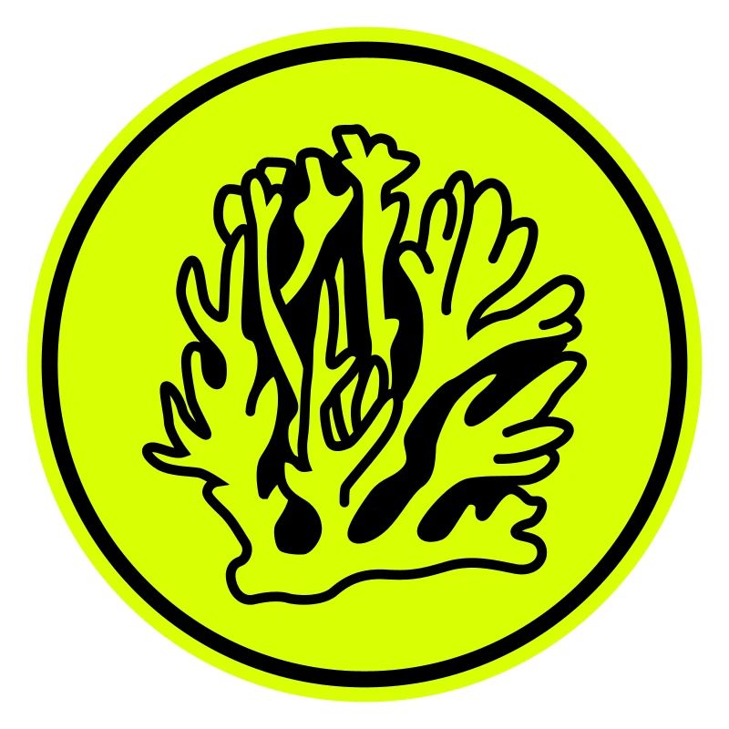 Océan de corail