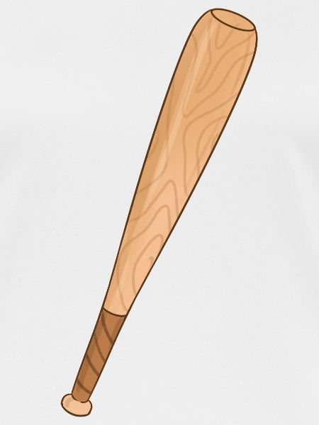Baseball bat