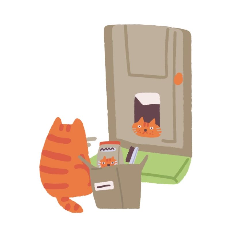 Ginger Cat - Livraison