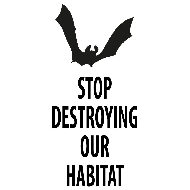 Bat Bats