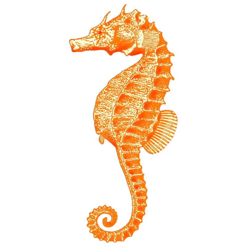 Dodu