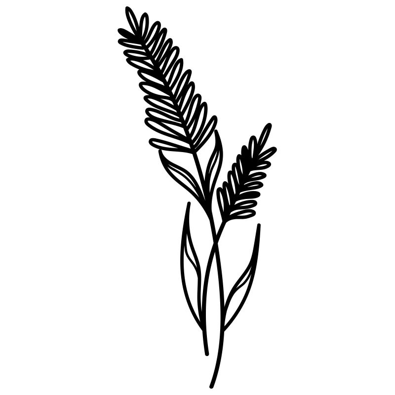 Wild flower boho line art