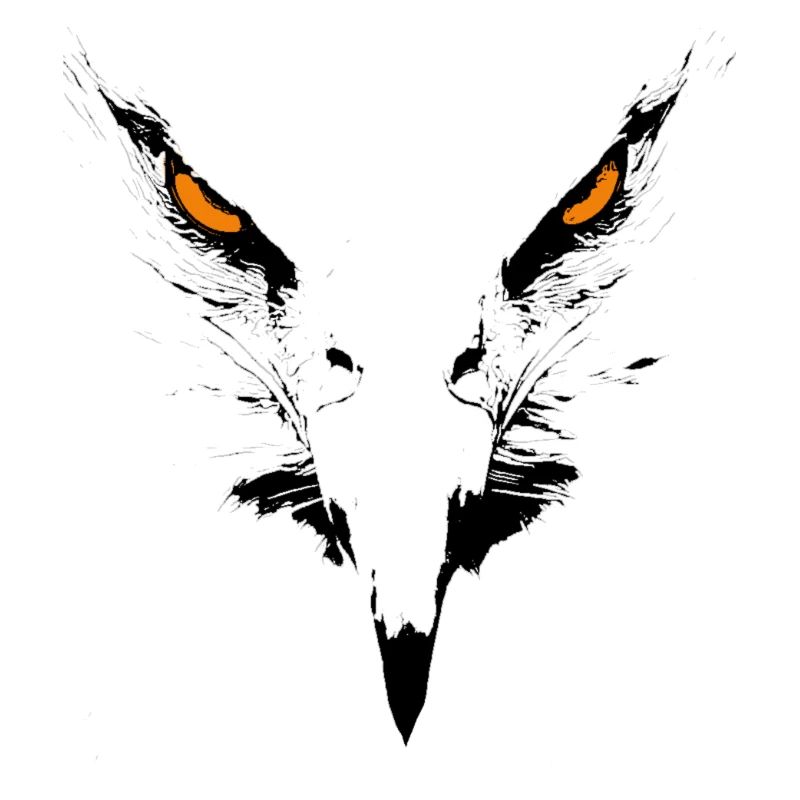 Eagle face. Eagle portrait. eagle head