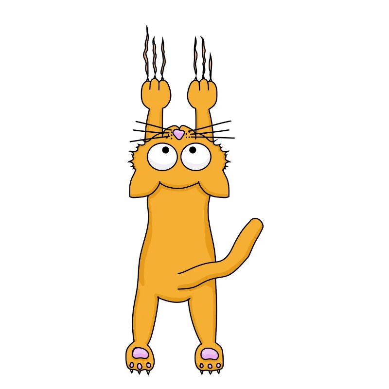 Orange Katze