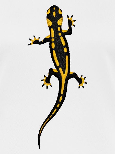 Salamandre de feu