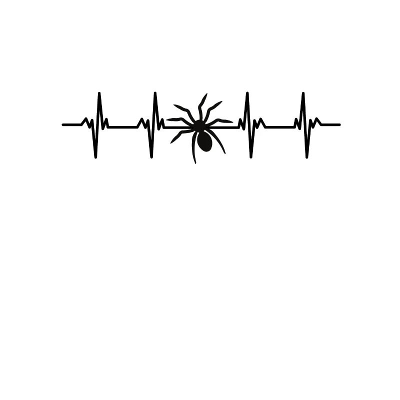 Spiders Spider web web arachnid legs 8 spider