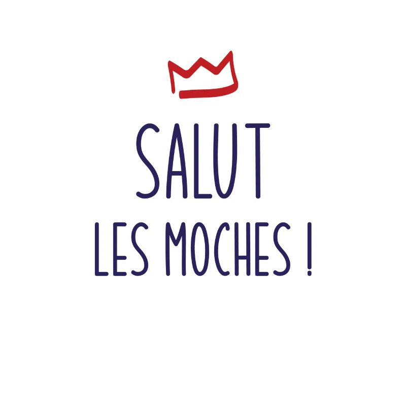 SALUT LES MOCHES