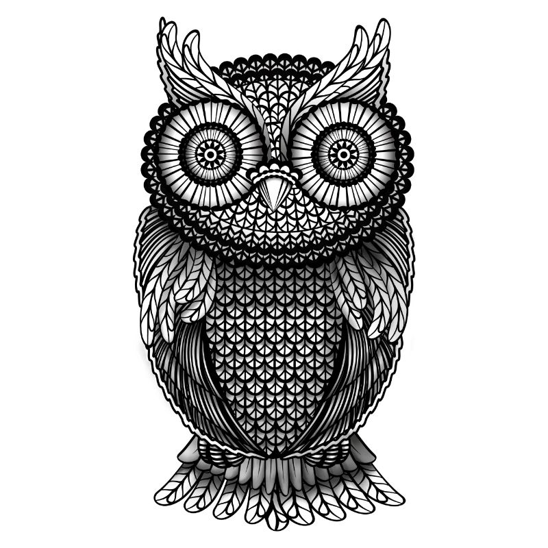 Owl Eagle Owl
