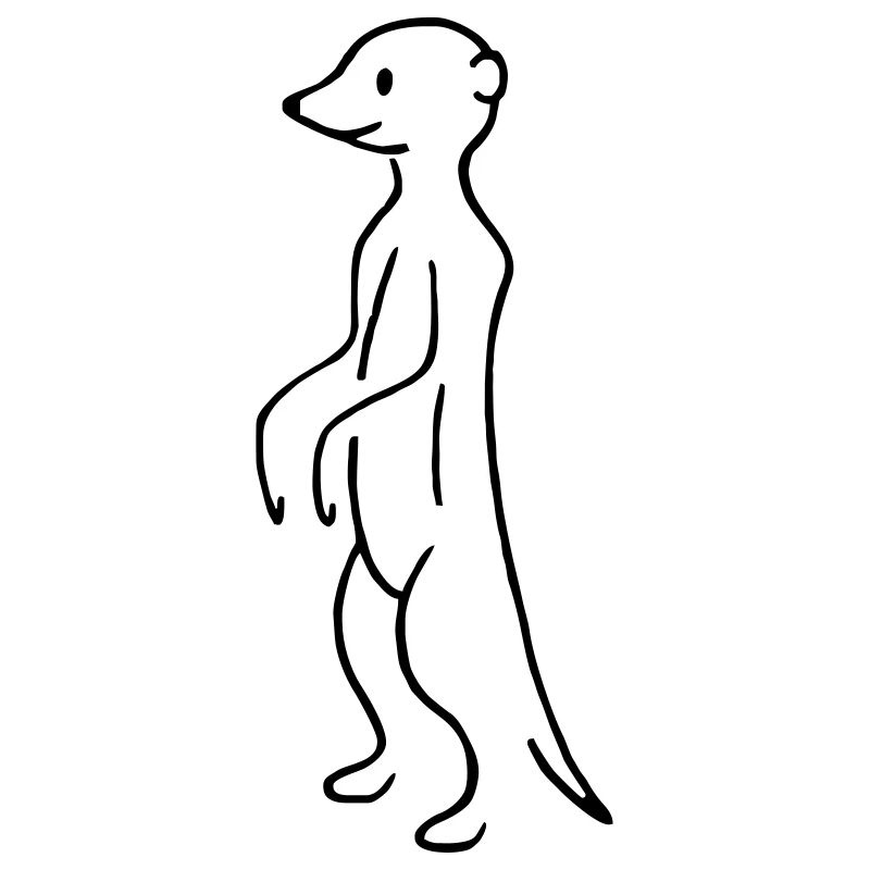 Erdmaennchen