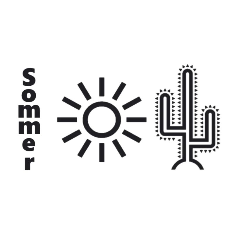 Summer cactus sun