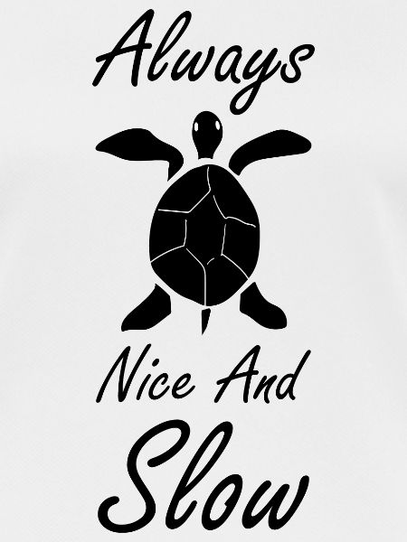 Turtle Turtle