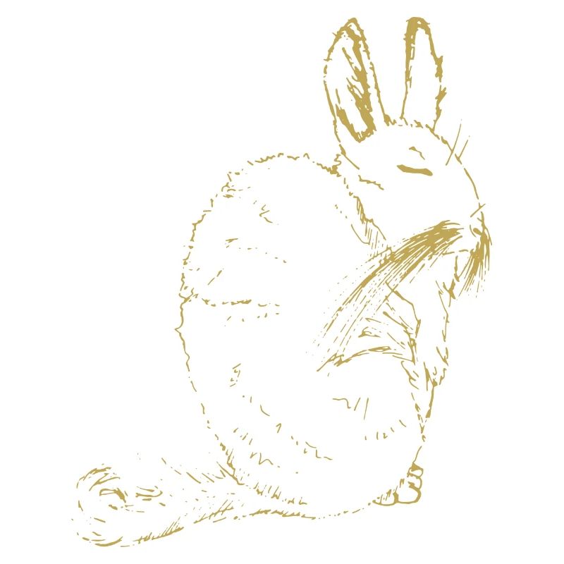 Illustrierte Designs mit Viscacha