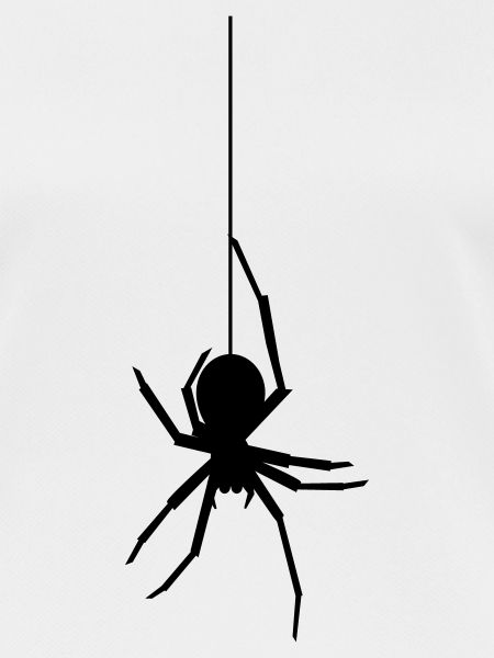 frightnet spider