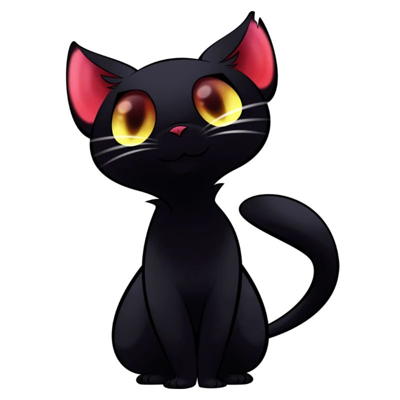 Chat noir - chat noir
