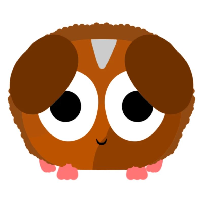 Cochon d’Inde mignon !!