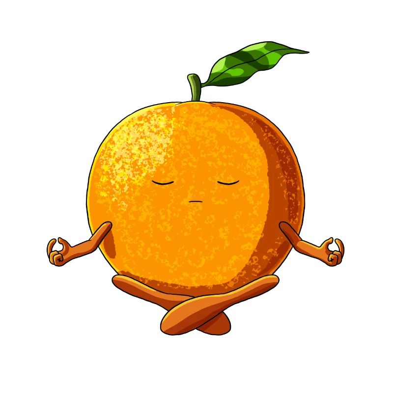 Funny Yoga Fruit Meditating Orange