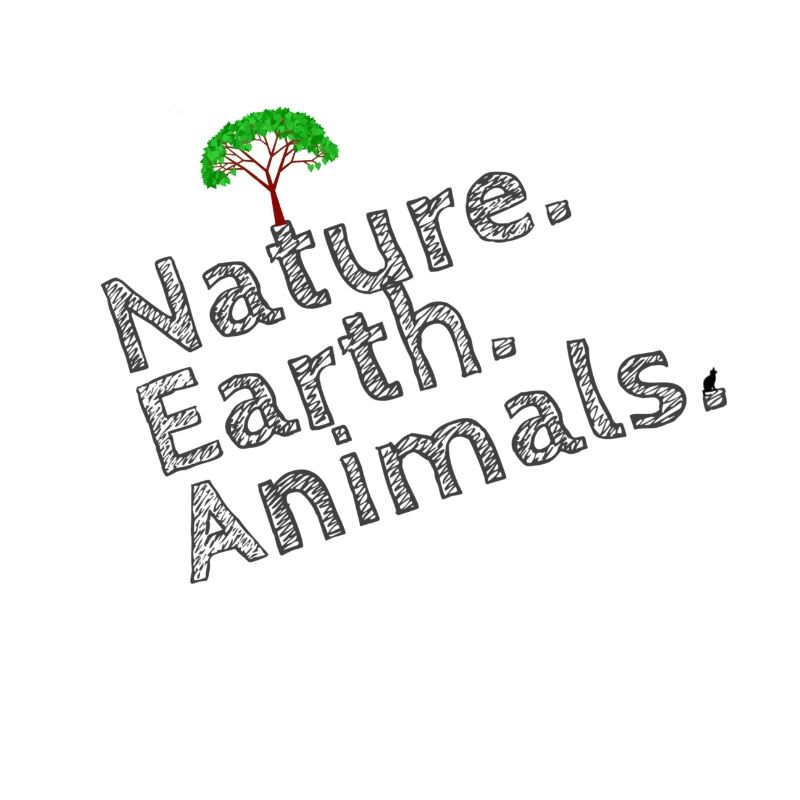 Nature, Erde, Tiere