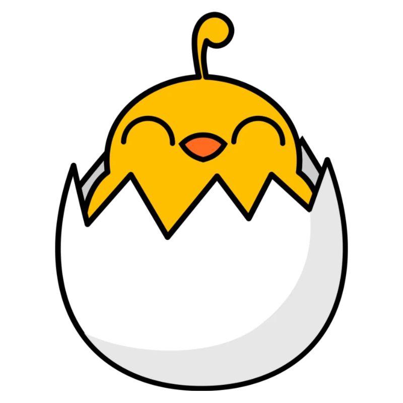 Chick Freshly hatched from the egg