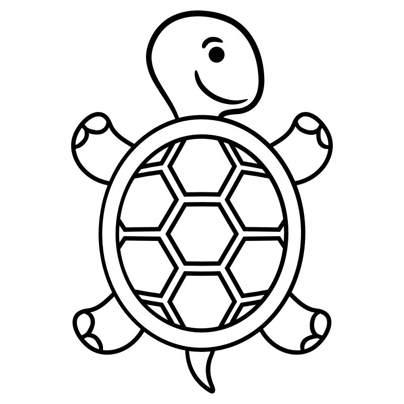 Tortue mignon sucré