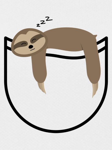 Pocket sloth