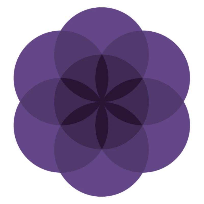 violette Lebensblume
