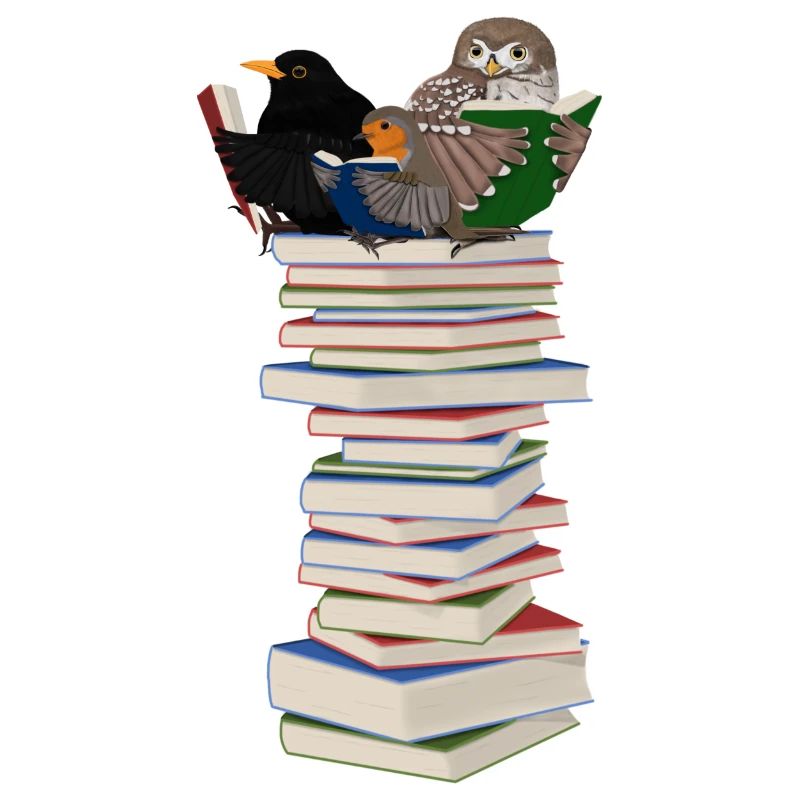 Rotkehlchen Amsel Eule lesen Bücher Vogel