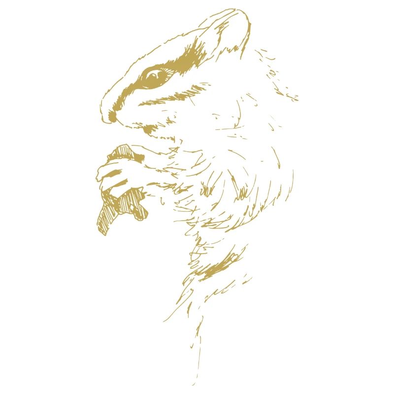 Illustrierte Designs mit Hörnchen