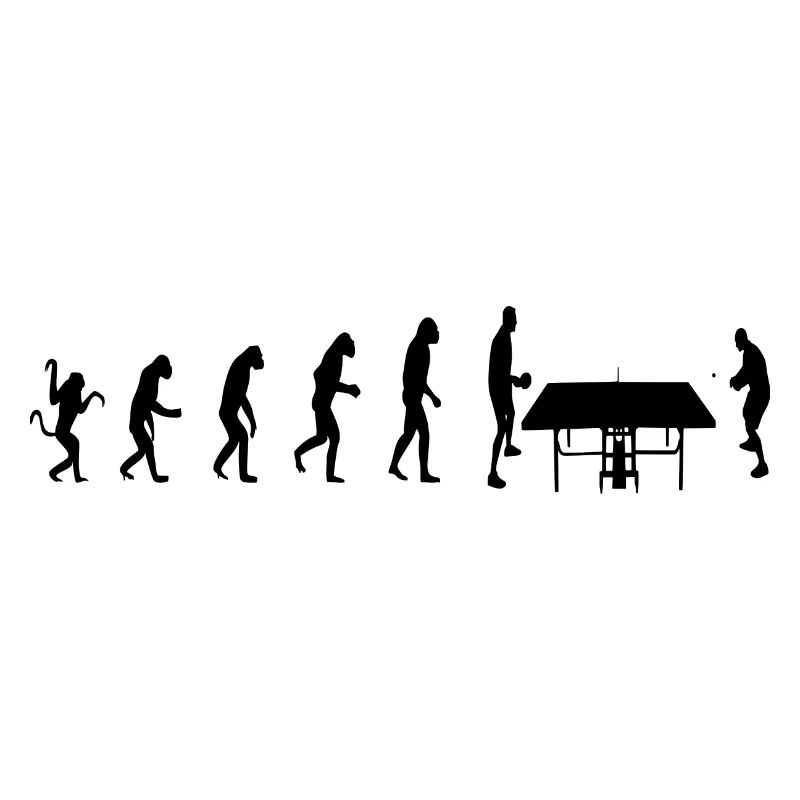 Table Tennis Evolution Sport
