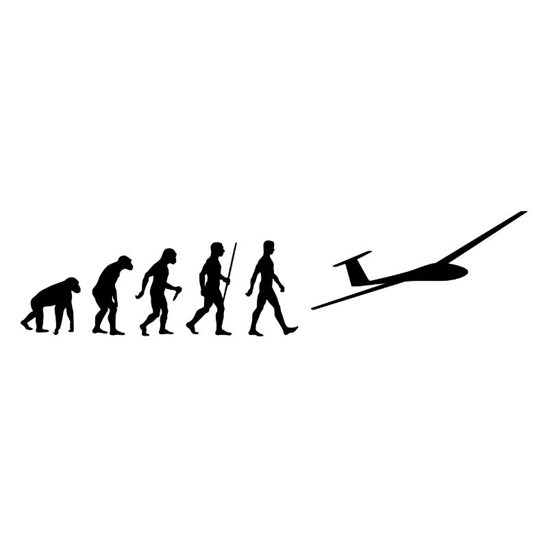 Segelflugzeug Evolution Segelflieger Flugzeug