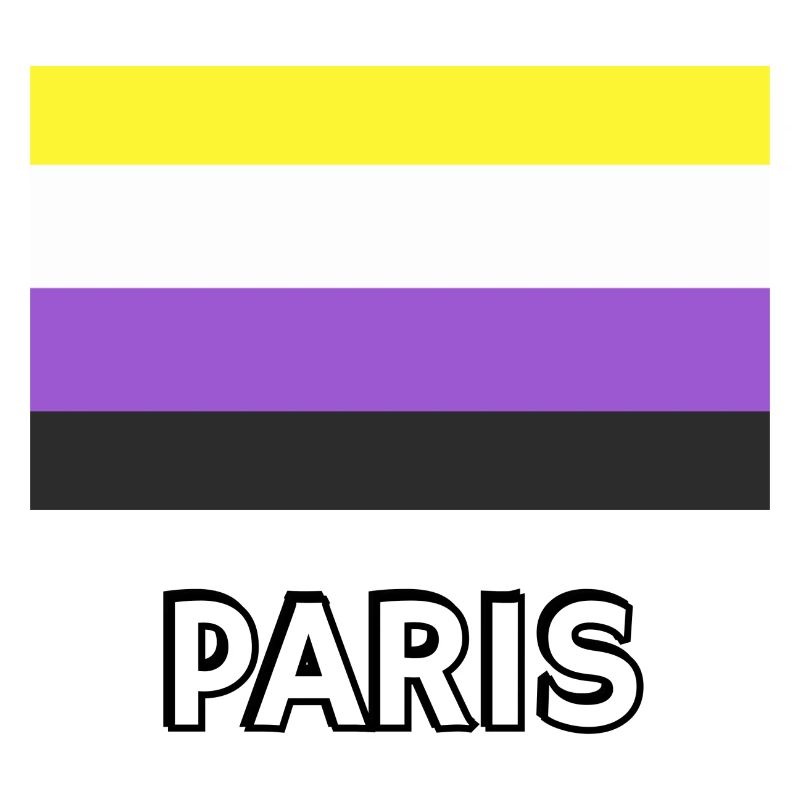 Non binary Pride Flag Paris