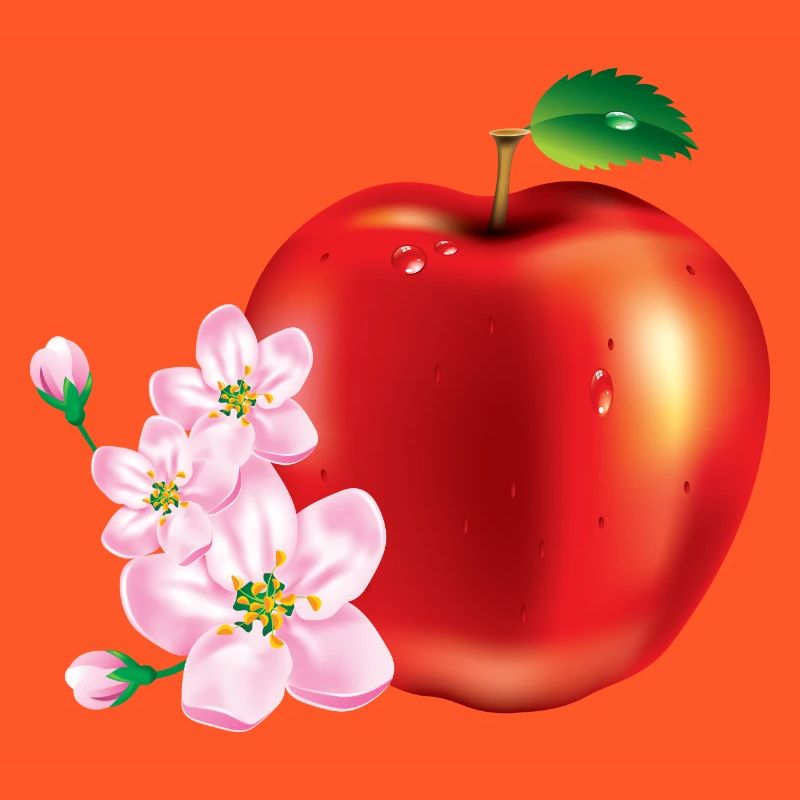 Apple avec la conception de la fleur de cerisier