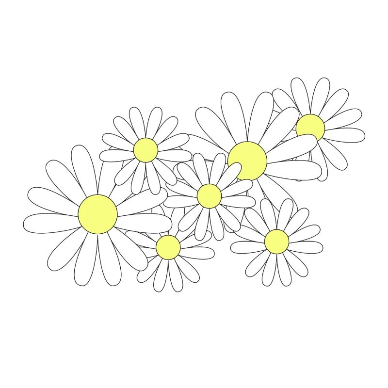 Daisy