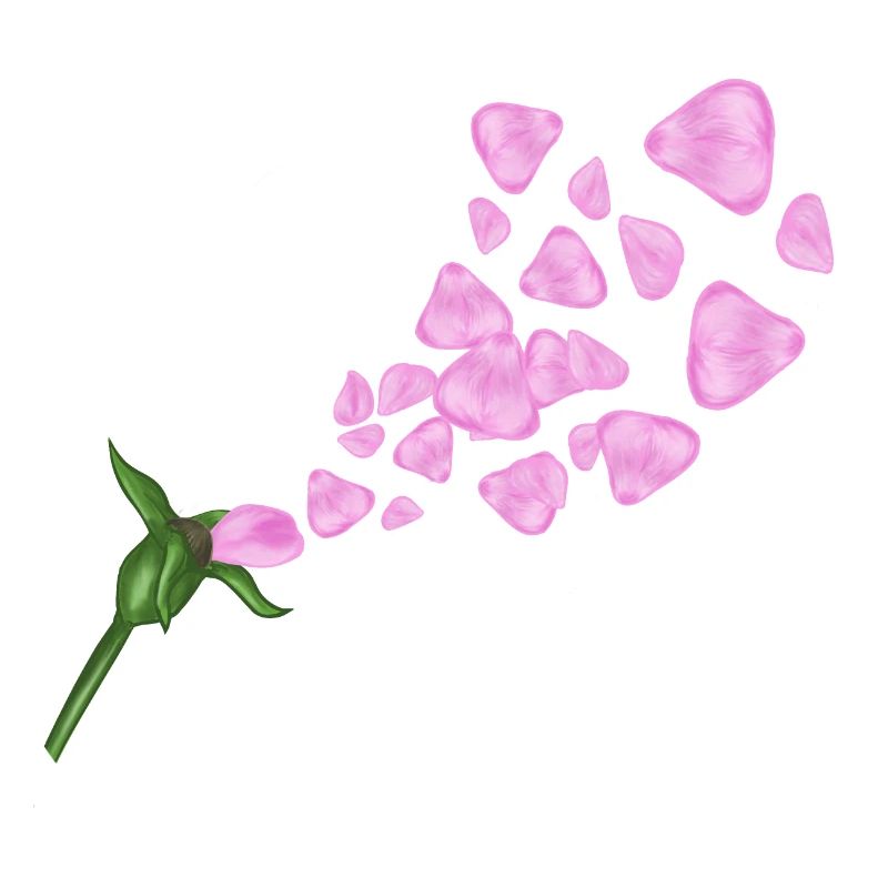 Rose im Wind