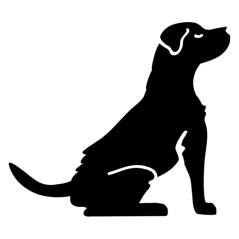 les amateurs de chiens - Chien