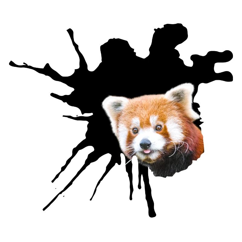 Roter Panda, Spalte
