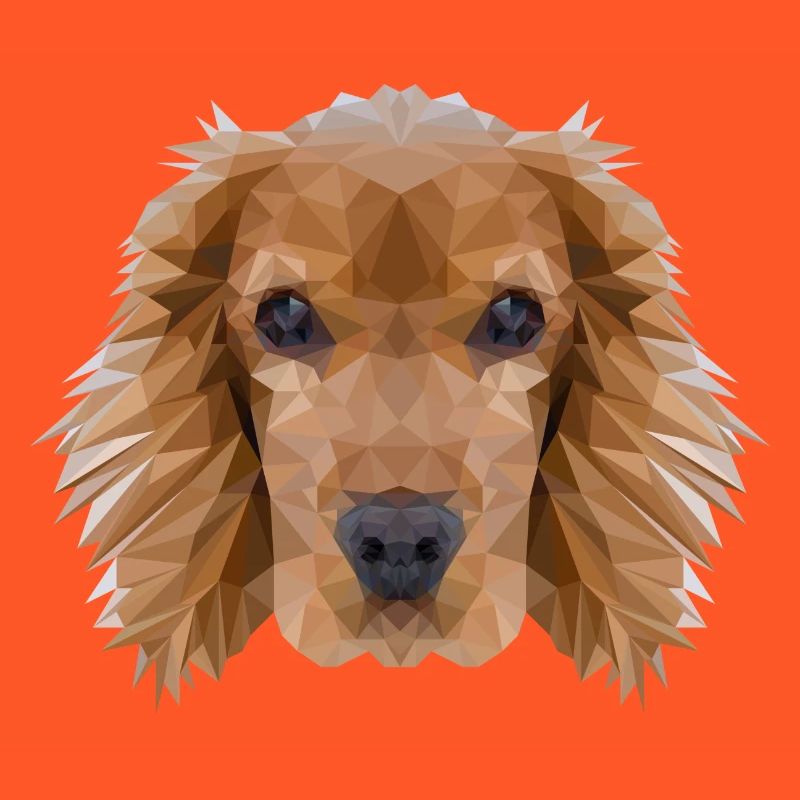 Cocker Spaniel Hund Polygondesign