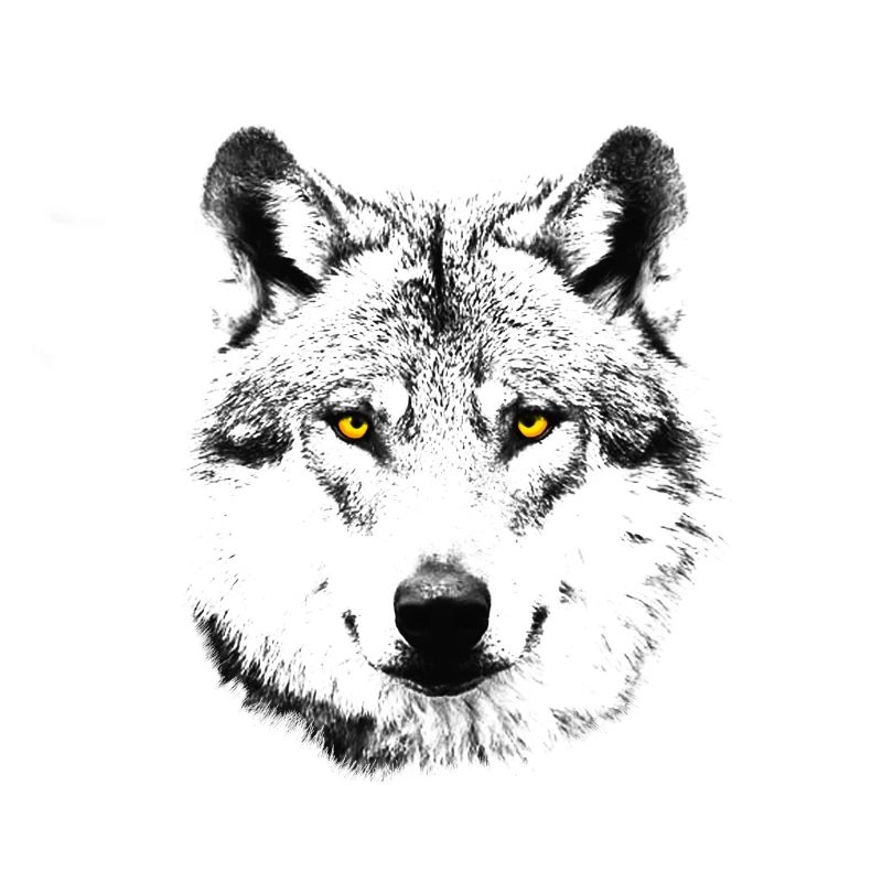 The Wolf