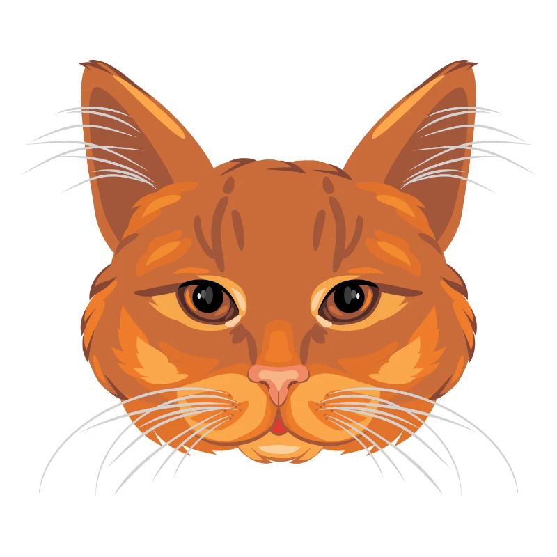 Ginger cat head