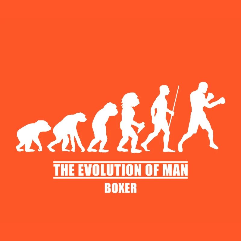 Boxer evolution shirt