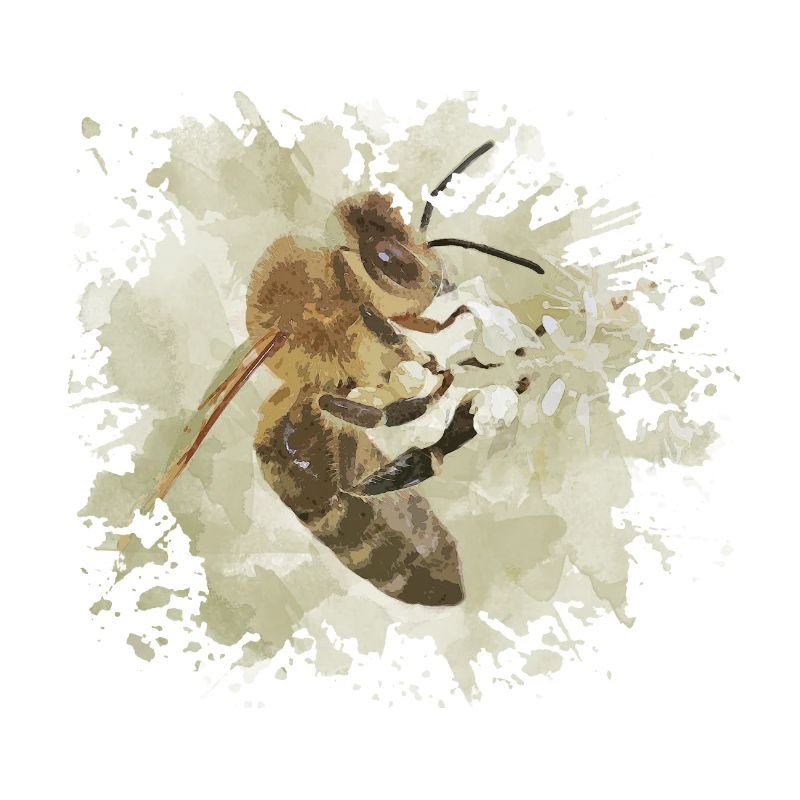 Abeille