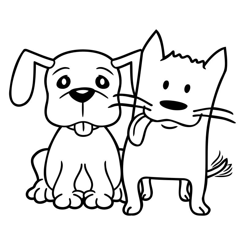 Chien Chat Deux Amis Équipe Chaton 2 Duo Équipage