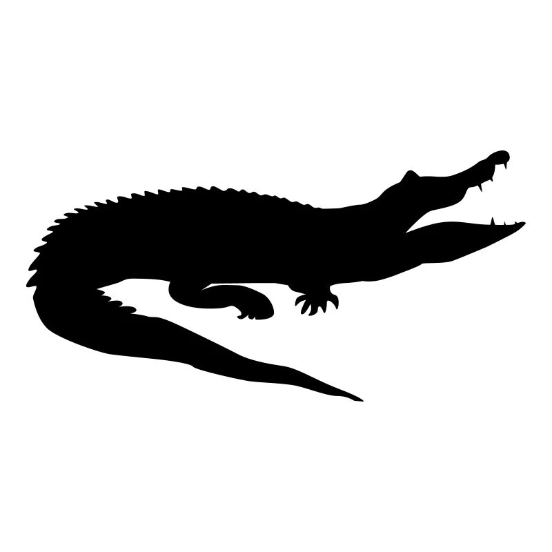 krokodil_schwarz_65