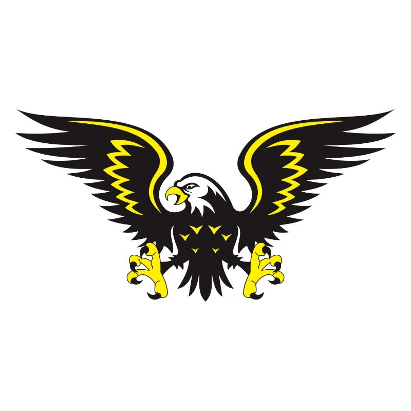 eagle eagle buzzard falcon habicht hawk falcon53