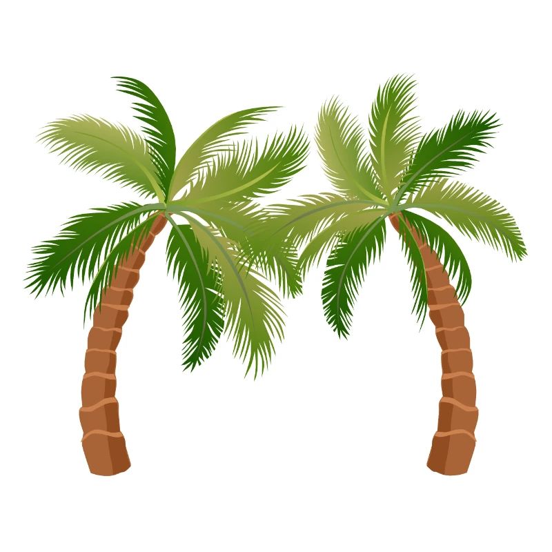 palm tree palm palms