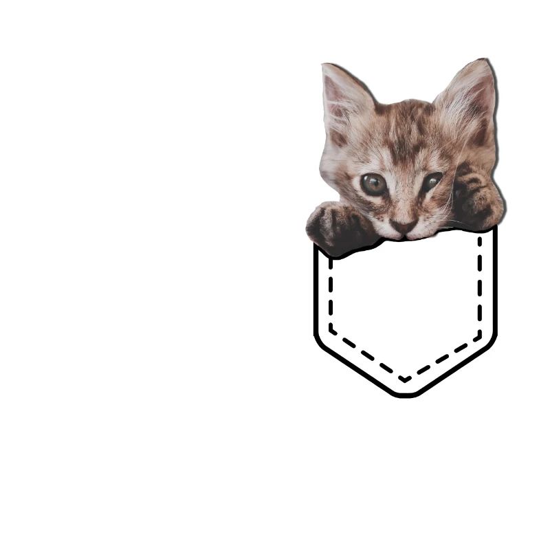 Cats cat lady cat lover cat face