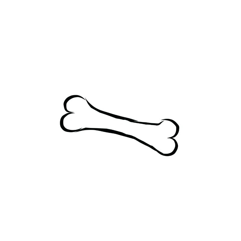 Knochen bone